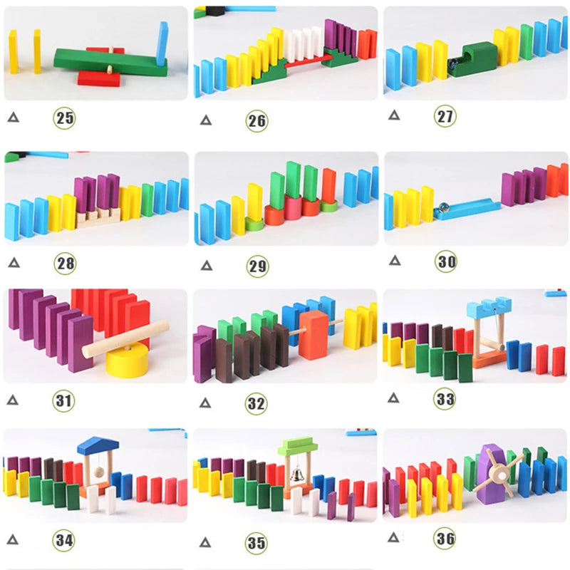 Domino Institution Accessories