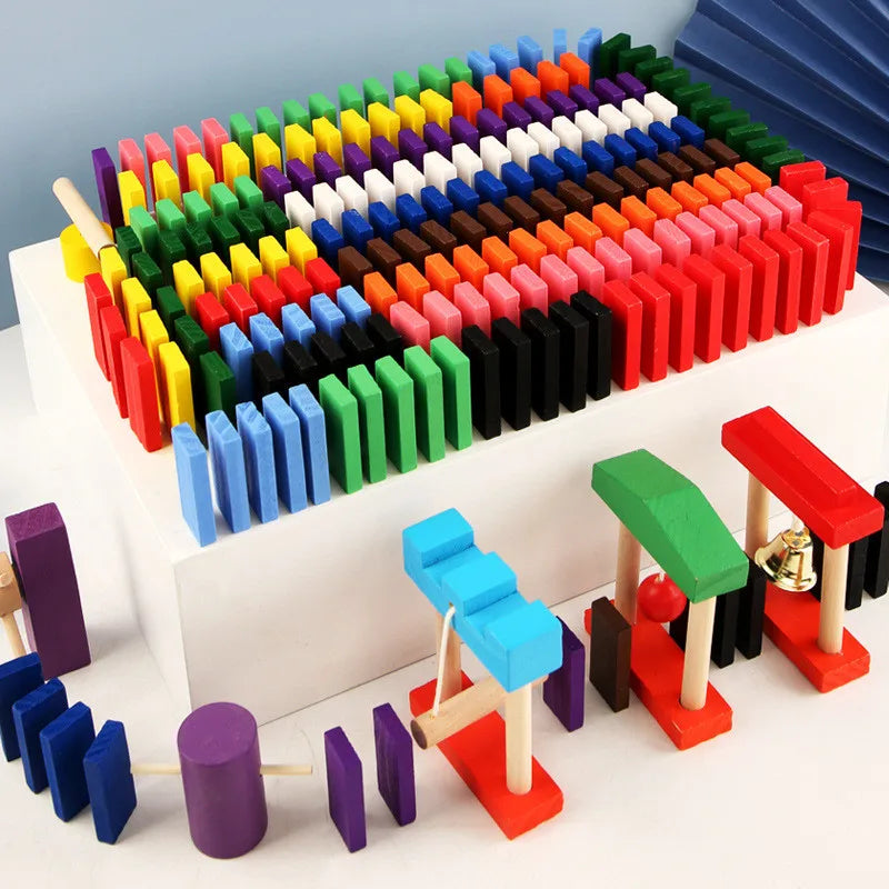 Domino Institution Accessories