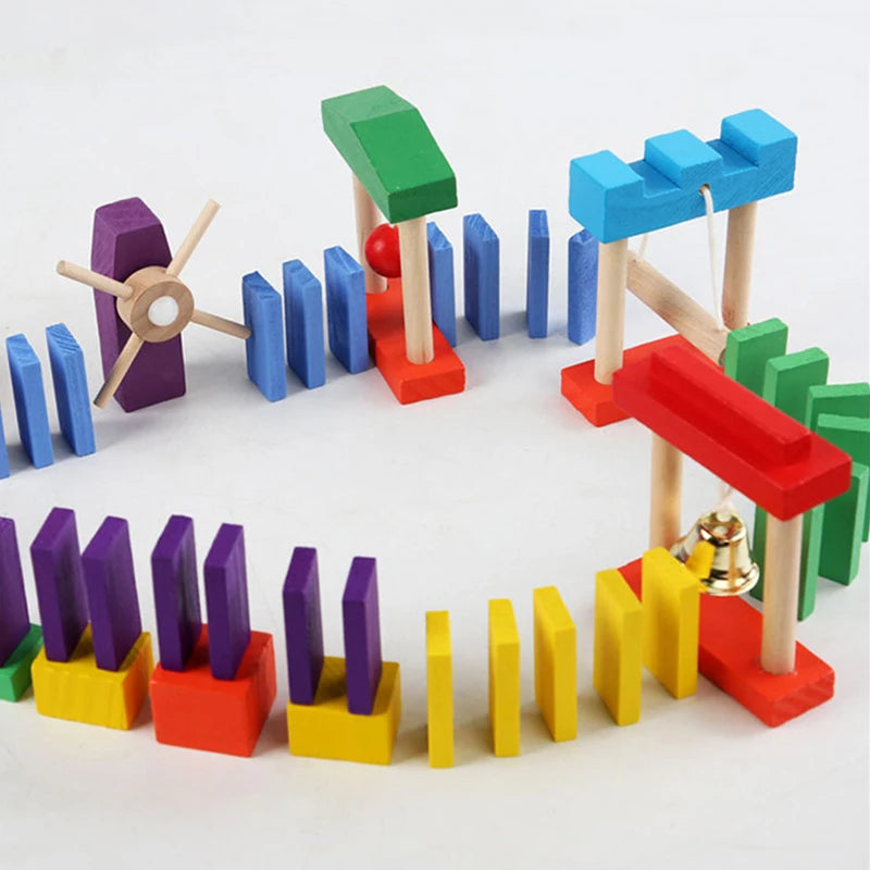 Domino Institution Accessories