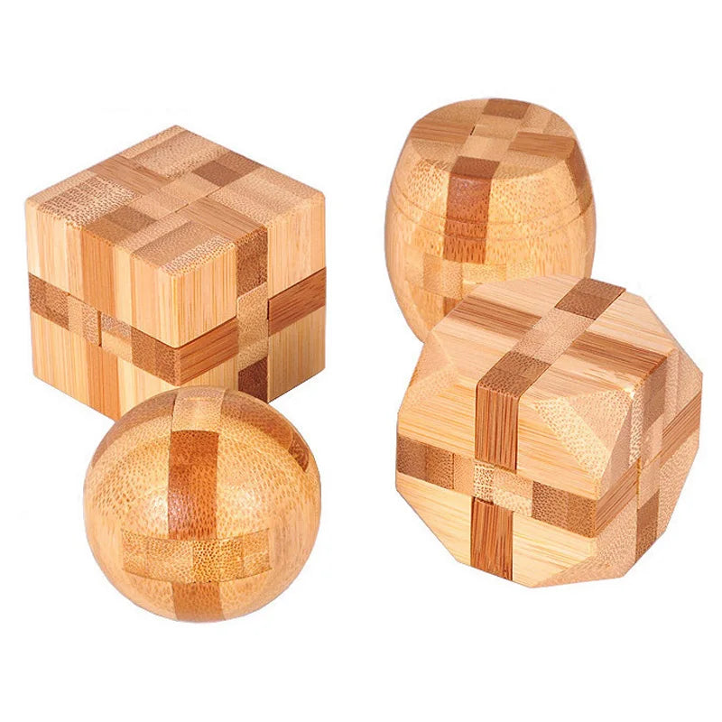 Wooden IQ Brain Teaser