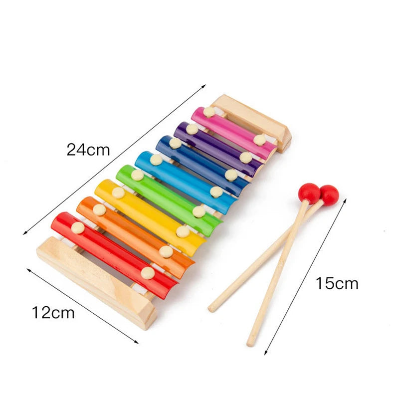 Montessori  Development Toys