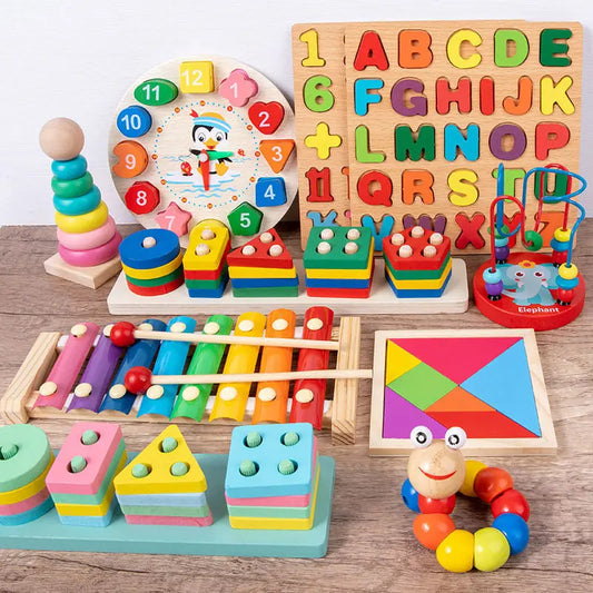 Montessori  Development Toys