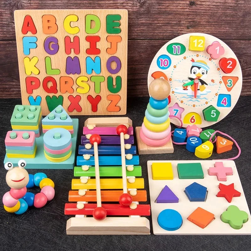 Montessori  Development Toys